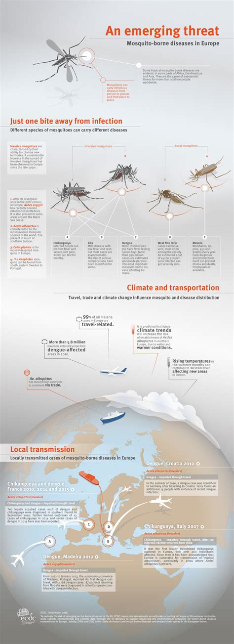 mosquito borne tropical disease codycross|«Mosquito.